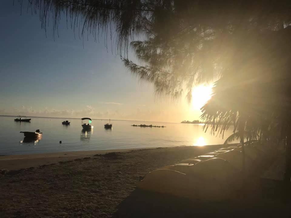 Beach De Reve De Moorea Hauru المظهر الخارجي الصورة