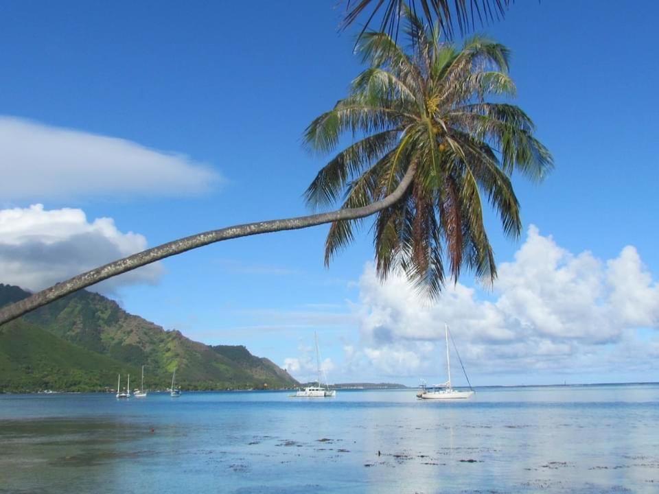 Beach De Reve De Moorea Hauru المظهر الخارجي الصورة