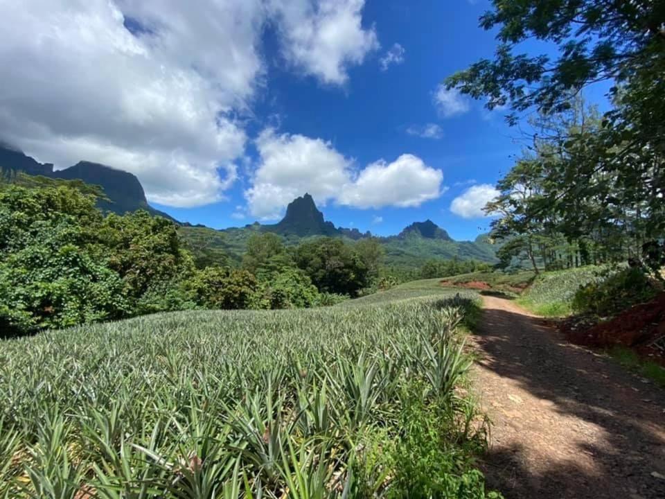Beach De Reve De Moorea Hauru المظهر الخارجي الصورة