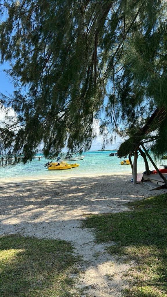 Beach De Reve De Moorea Hauru المظهر الخارجي الصورة