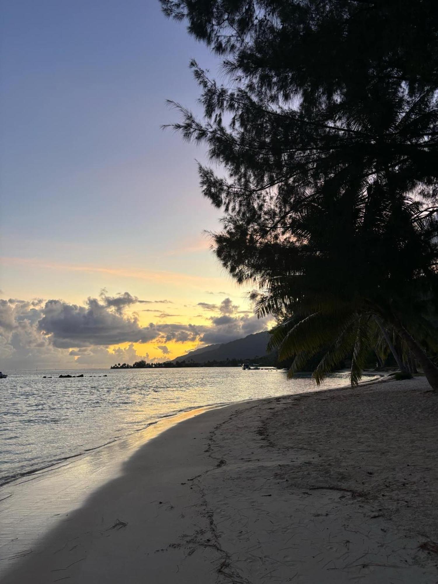 Beach De Reve De Moorea Hauru المظهر الخارجي الصورة