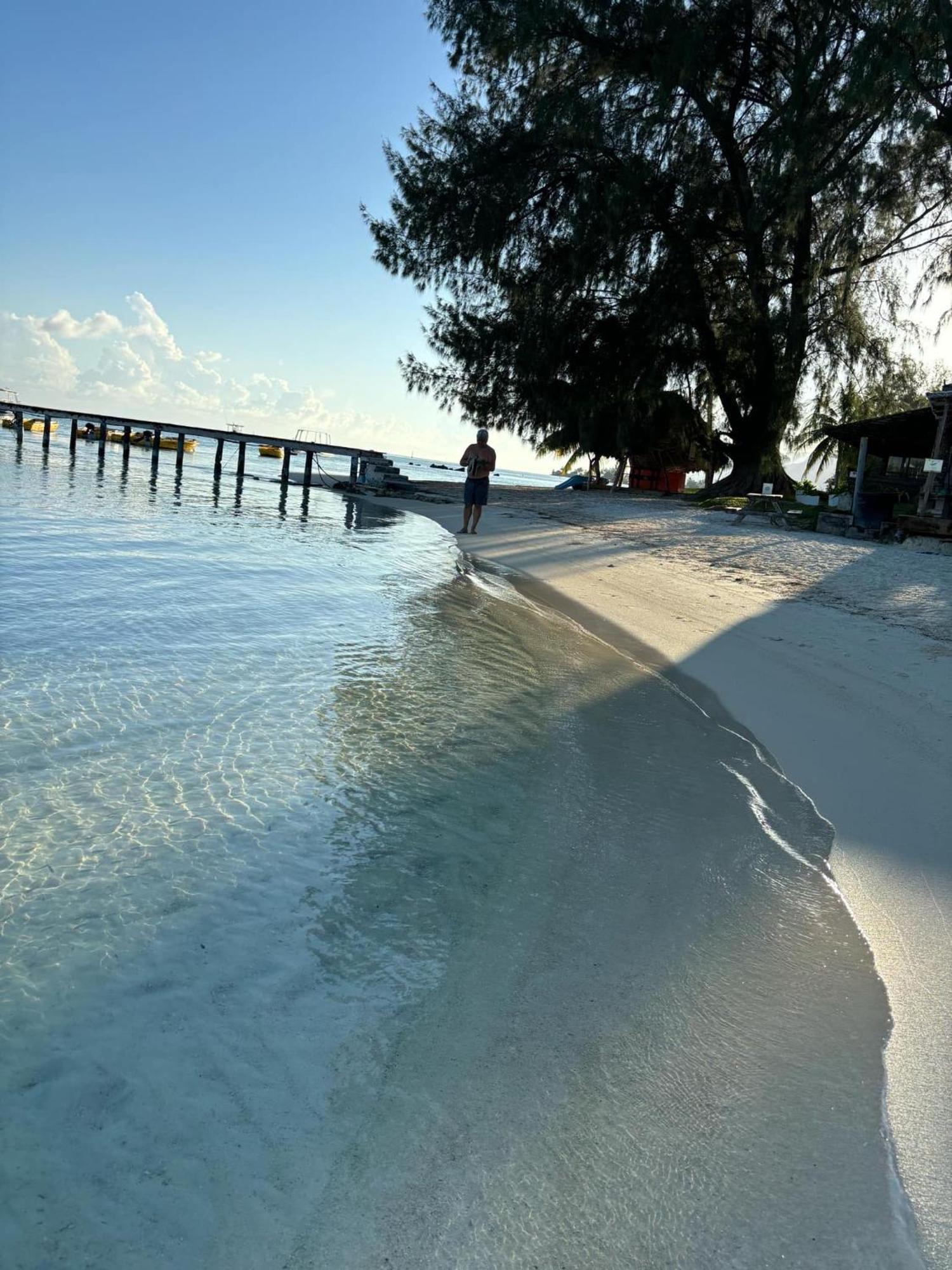 Beach De Reve De Moorea Hauru المظهر الخارجي الصورة